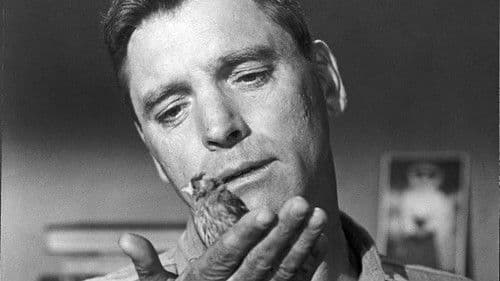 Der Gefangene von Alcatraz Bild 6