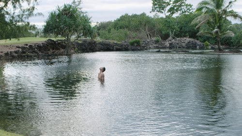 August at Akiko's Bild 1