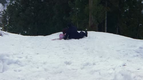 Hana-bi - Feuerblume Bild 4