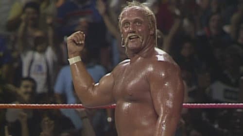 Wrestling Superheroes Bild 1