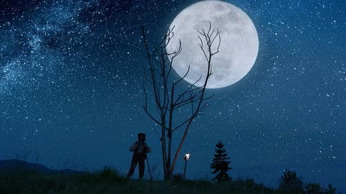 Luz: The Flower of Evil Bild 5