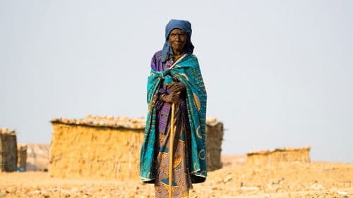 Territorio Africano 2 Bild 3