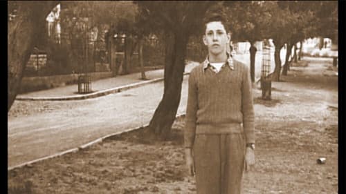 עמוס עוז –ישר אל תוך השמש הקיצית Bild 1