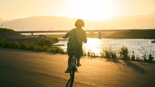 ルノワール Bild 5