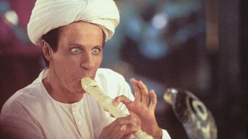 Meister der Verwandlung Bild 5