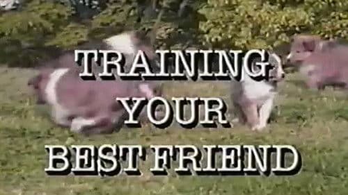Training Your Best Friend Bild 1