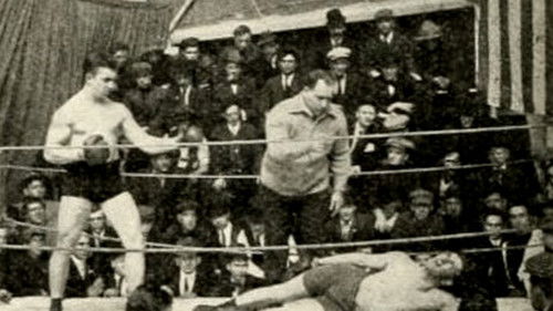 The Grey Vulture Bild 1