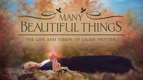 Many Beautiful Things Bild 3