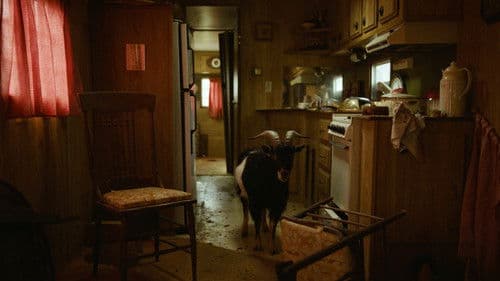 The Human Hibernation Bild 1