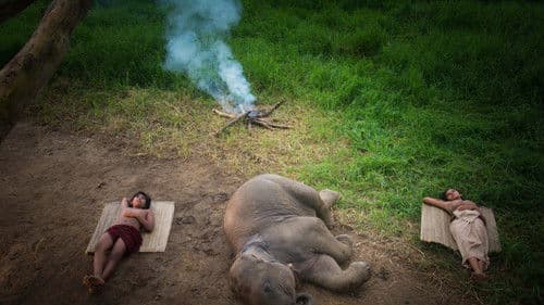 අලි කතාව Bild 1