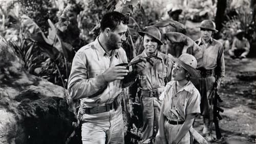 Stahlgewitter Bild 5