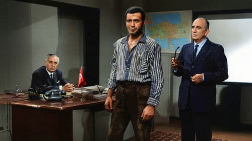 Babam Katil Değildi Bild 4