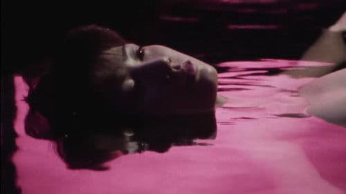 XX 美しき機能 Bild 8