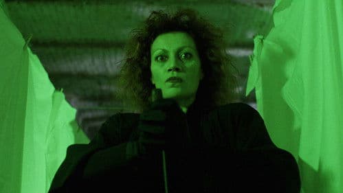 Spider Labyrinth - In den Fängen der Todestarantel Bild 5