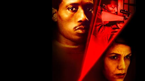 Liberty Stands Still Bild 4