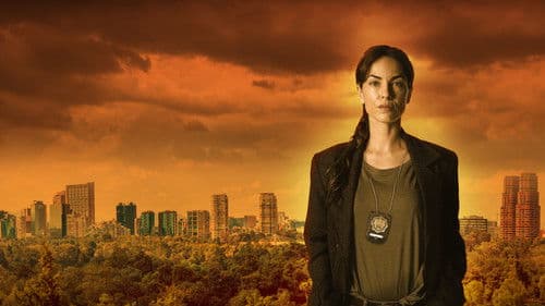 La Negociadora Bild 5