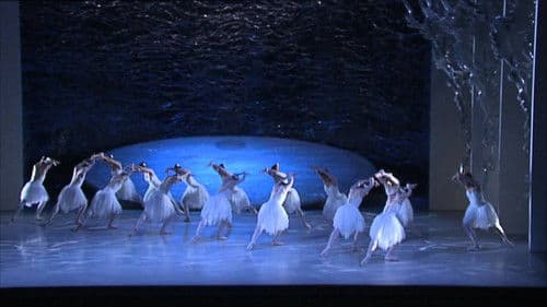 Graeme Murphy's Swan Lake Bild 2