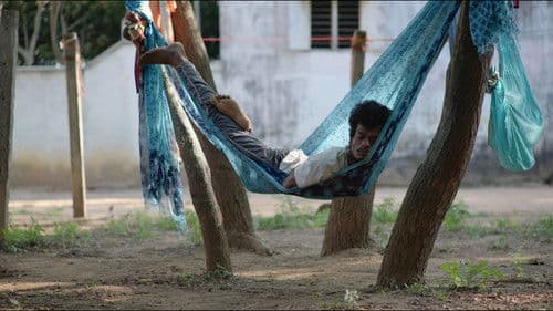 சிக்கலான குடும்பத்தின் உறுப்பினர்கள் Bild 1