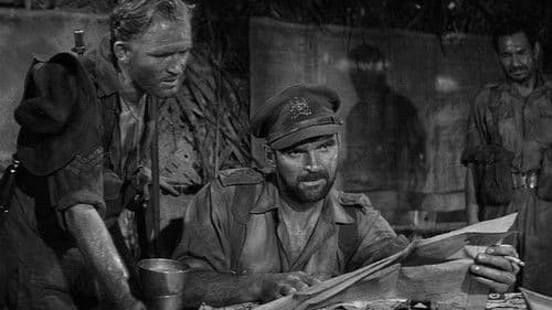 Feinde von gestern Bild 4