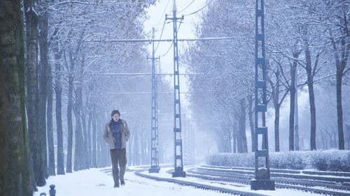 Aus unerfindlichen Gründen Bild 3