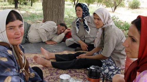 Fyra fruar och en man Bild 1