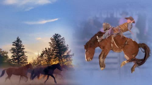 The Wolf in the Chute Bild 3