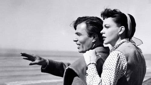 Ein neuer Stern am Himmel Bild 3