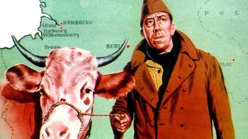 Ich und die Kuh Bild 7