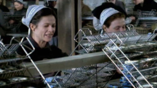 Penn sardines Bild 1