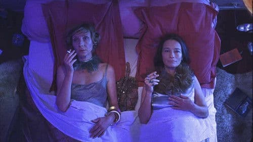 Notre-Dame des Hormones Bild 1