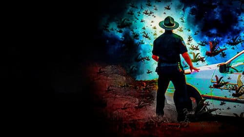 Heuschrecken - die achte Plage Bild 2