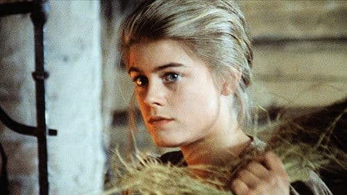 Der Weg der Schlange auf dem Felsen Bild 1