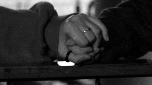 O Elefante Na Sala Bild 1