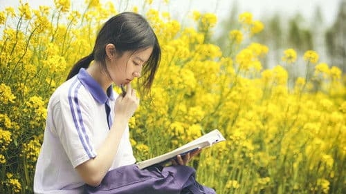 致青春·原来你还在这里 Bild 1