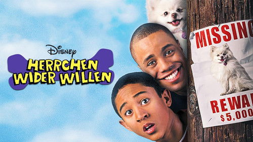 Herrchen wider Willen Bild 5