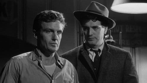 Duell in den Wolken Bild 4