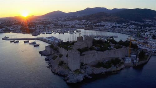 Tohum Toprak Dijital Bild 1