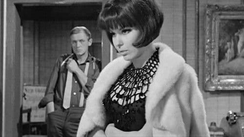 Das Geheimnis der chinesischen Nelke Bild 1