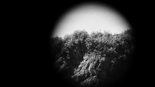 Trapallada (Saudade) Bild 4