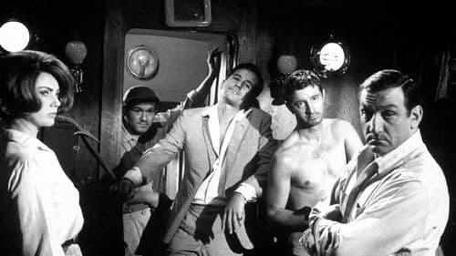 Schieß, solange du kannst Bild 2