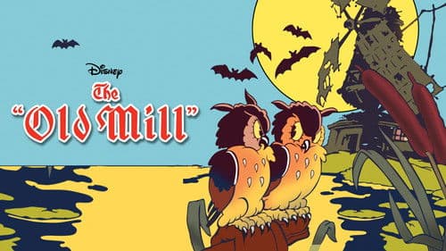 Die alte Mühle Bild 4