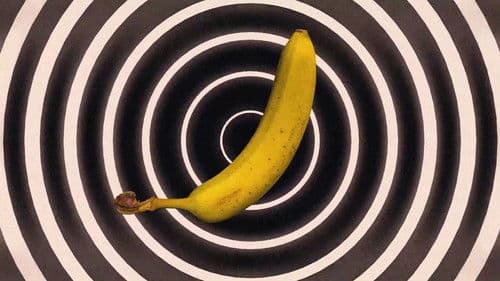 Going Bananas Bild 4