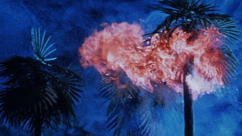 แผ่นดินวิปโยค Bild 1