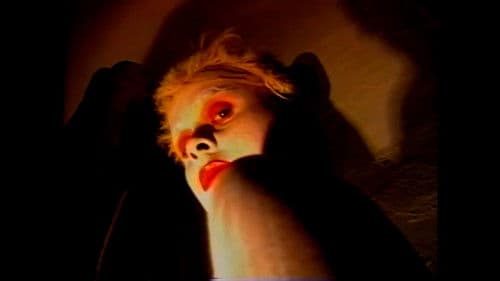 Galáxia Albina Bild 4