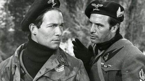 Tiro al piccione Bild 3