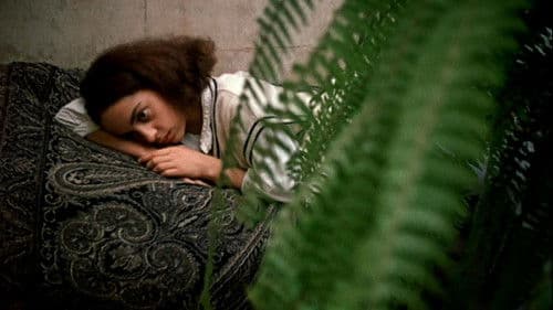 საფეხური Bild 1