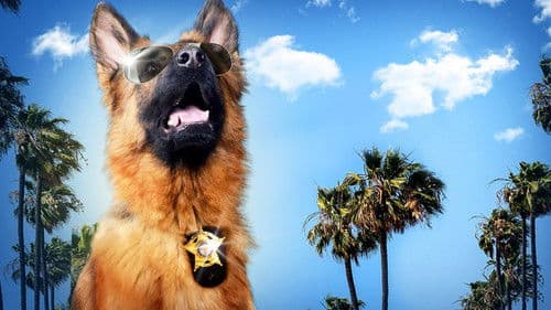 Ace of Hearts Bild 3