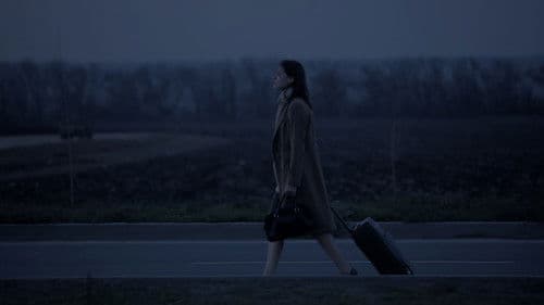 Porträt in der Dämmerung Bild 2