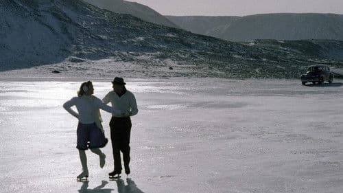 Möwengelächter Bild 4