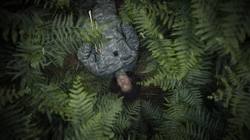 A Ringing in the Ears Bild 2